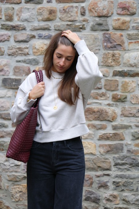 Sweat Ary beige
