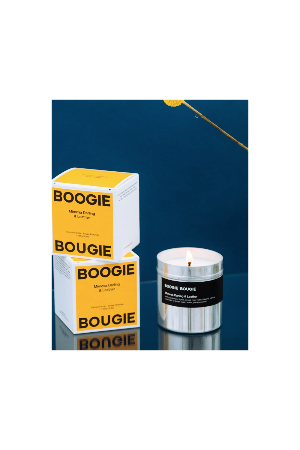 Bougie "BOOGIE BOUGIE"